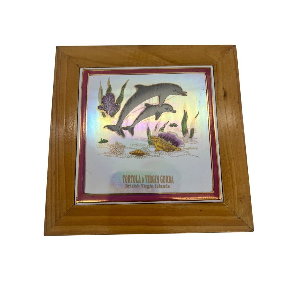Tortola Virgin Gorda Dolphins Framed Souvenir Tile 6" Beach Decor